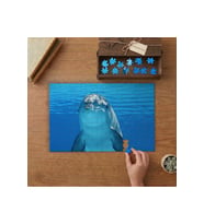 Sevimli Yunus Balığı Tasarımı 240 parça Ahşap Puzzle Ahşap Kutuda MP09845