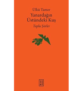 Yanardağın Üstündeki Kuş