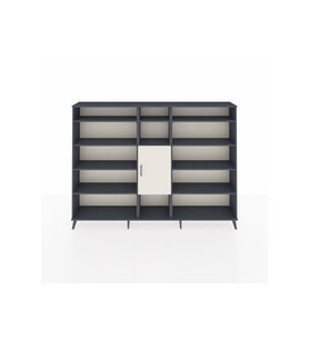 Arges Dolap 12 Raflı Tek Kapaklı  220x30x163 Antrasit-Aytaşı/Antrasit