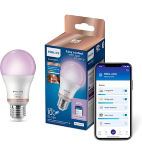 Philips Smart Lighting Led Ampul A60 E27 100W Eşdeğer Rgb - Google Home, Alexa, Homekit Ve Matter Uy