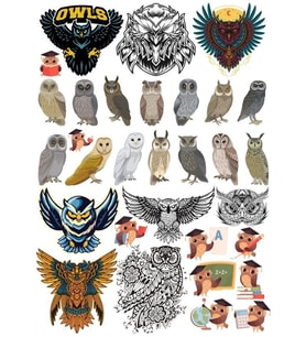 Baykuş Sticker Set 20 Parça Telefon, Tablet, Defter, Laptop Sticker