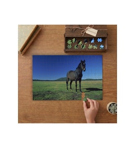 Siyah At Tasarımı 240 parça Ahşap Puzzle Ahşap Kutuda MP06687