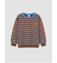 LCW Kids Kahverengi Erkek Çocuk Çizgili Kalın Sweatshirt