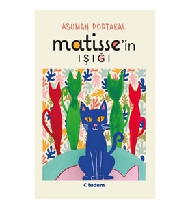 Matisse'in Işığı