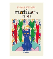 Matisse'in Işığı