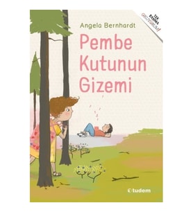 Pembe Kutunun Gizemi