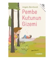 Pembe Kutunun Gizemi