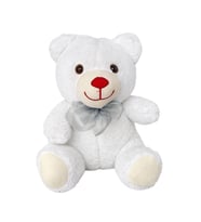 Peluş Ayıcık