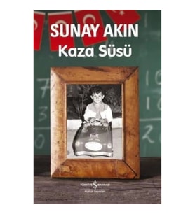 Kaza Süsü