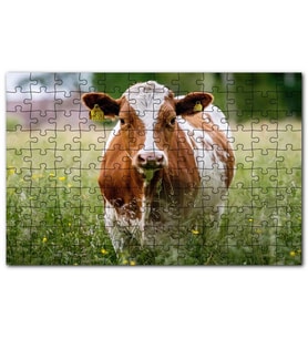 Cakapuzzle Çayırda Kahverengi Beyaz İnek Puzzle Yapboz MDF (Ahşap) (120 Parça)