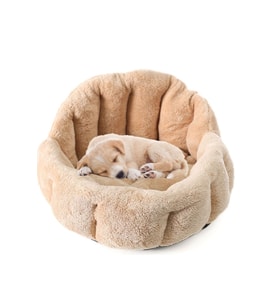 Peluş Köpek ve Kedi Yatak, Yumuşak ve Rahat Uyku Alanı