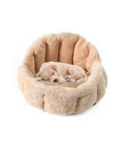 Peluş Köpek ve Kedi Yatak, Yumuşak ve Rahat Uyku Alanı