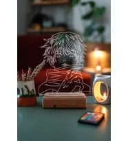 Jujutsu Kaisen Satoru Gojo 16 Renk Gece Lambası