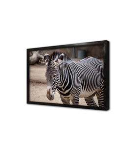 Zebra Çerçeveli Mdf Tablo