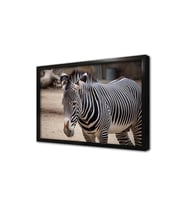Zebra Çerçeveli Mdf Tablo