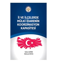 İl ve ilçelerde Mülki İdarenin Koordinasyon Kapasitesi