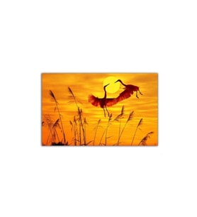 Gün Batımı Sazlık Ve Kırlangıçlar Tablo - 106774 - 50x70 Cm