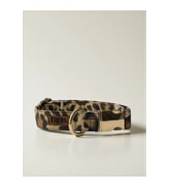 Leopar Köpek Boyun Tasması -Charm Hediyeli
