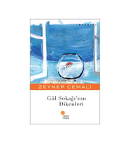 Gül Sokağının Dikenleri Zeynep Cemali Günışığı Kitaplığı