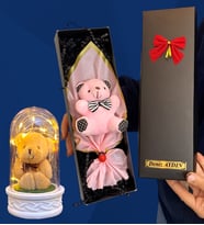Kişiye Özel İsimli Kutuda Pembe Peluş Ayıcık ve Led Işıklı Biblolu Fanus (Model 6)