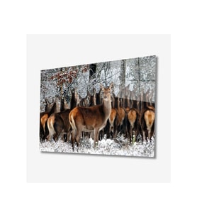 Miyrem Glasses Collection -A1^#  Geyikler Hayvan Cam Tablo (Çok Renkli)