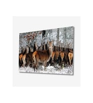Miyrem Glasses Collection -A1^#  Geyikler Hayvan Cam Tablo (Çok Renkli)