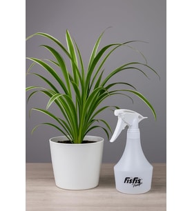 Lexroo MP872 Yağmur500 Pro10 Endüstriyel 1.0cc Fısfıs 0,5Litre