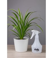 Lexroo MP872 Yağmur500 Pro10 Endüstriyel 1.0cc Fısfıs 0,5Litre