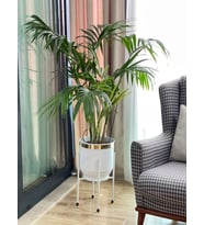 Metal Saksı Ayaklı Çiçeklik Dekoratif Beyaz Gold Detay Saksı Vazo Saksılık 50x30cm