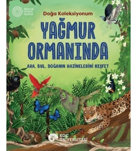 Yağmur Ormanında