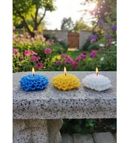 YILDIZ ÇİÇEĞİ 3'LÜ HEDİYELİK DEKORATİF HOŞ KOKULU SOYA WAX MUM (SARI + MAVİ + BEYAZ RENKLİ)