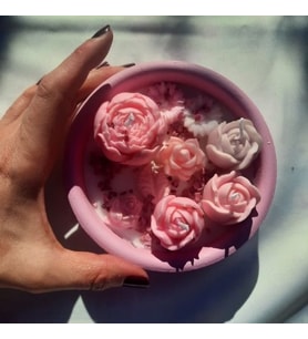 Seramik Kasede Sukulent Soya Mumu Pembe
