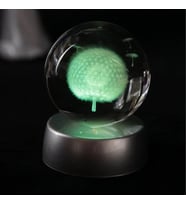 Dekoratif Renk Değiştiren Karahindiba Tasarımlı 3D Cam Küre