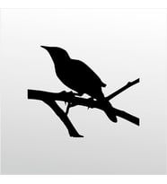Folyo Sticker Karga 50cm Uzunluk (Karışık)