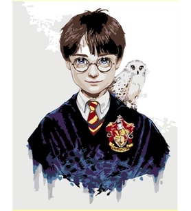 Harry Potter Sayılarla Boyama Seti 50x65 cm (Tuvale Gerili)