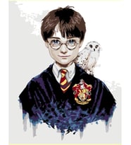 Harry Potter Sayılarla Boyama Seti 50x65 cm (Tuvale Gerili)