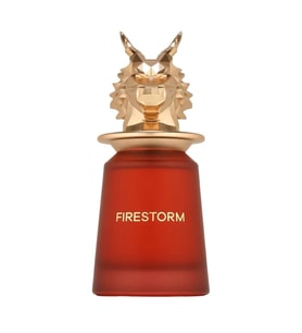 French Avenue Firestorm EDP 100 ml Unisex Parfüm