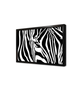Yakın Çekim Zebra Çerçeveli Mdf Tablo