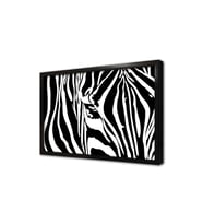 Yakın Çekim Zebra Çerçeveli Mdf Tablo