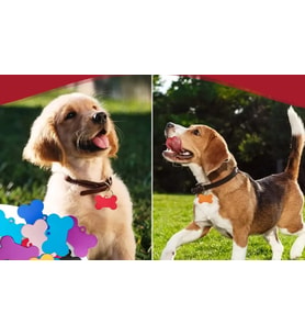 KEDİ KÖPEK TASMA UCU/ÇİFT TARAFLI YAZI YAZILABİLİR (Kırmızı)