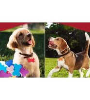 KEDİ KÖPEK TASMA UCU/ÇİFT TARAFLI YAZI YAZILABİLİR (Kırmızı)