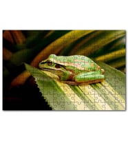 Cakapuzzle Yaprak Üzerinde Dinlenen Yeşil Kurbağa Puzzle Yapboz MDF (Ahşap) (120 Parça)
