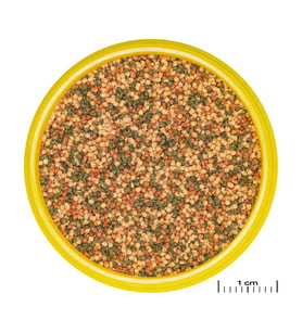Jbl Pronovo Bel Grano S 100ml