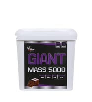 Zeus Nutrıtıon MassGainer 5000 Gr
