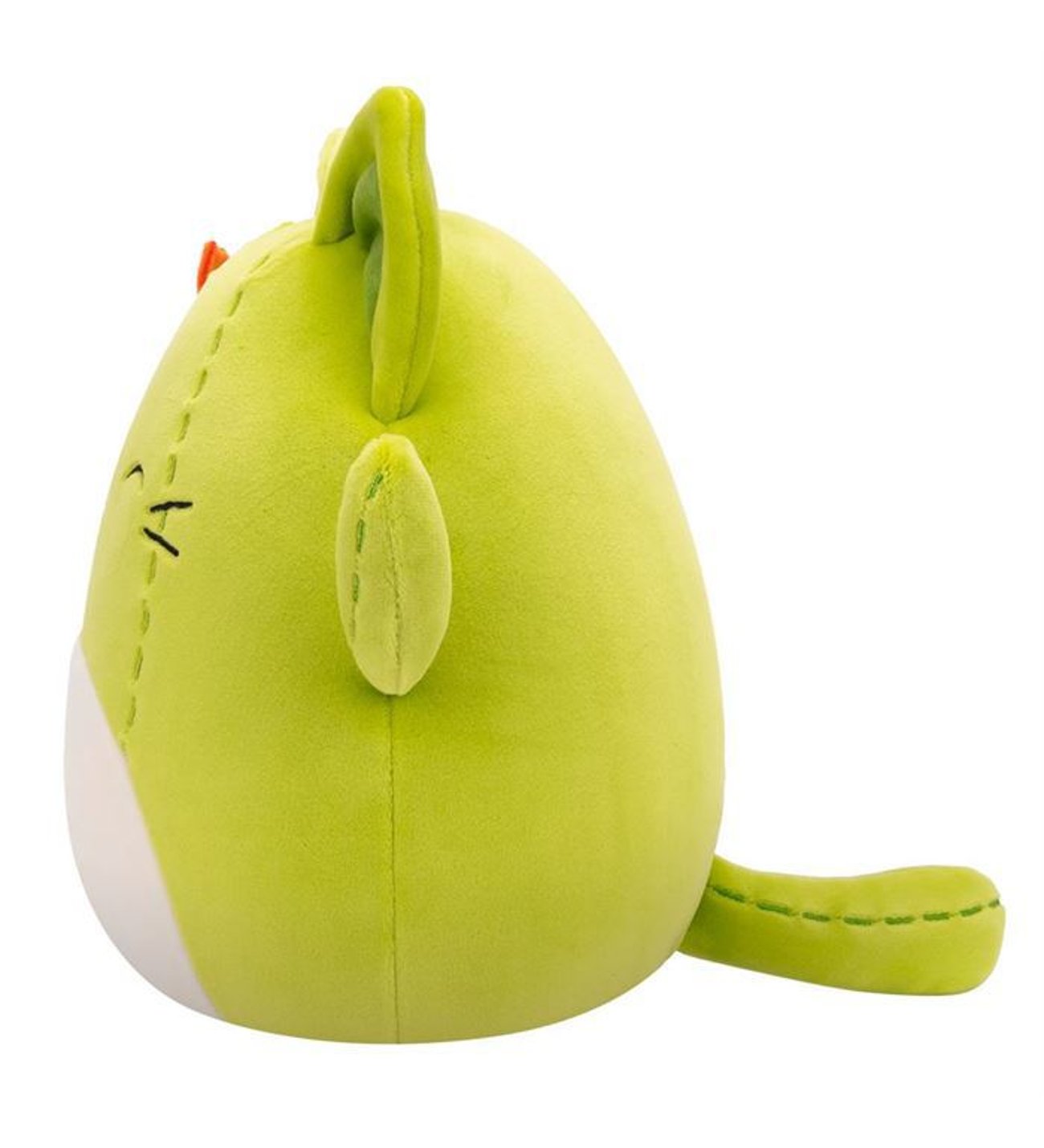 gummibaum ficus elastica robusta Gummibaum | kaufen