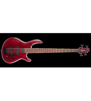 CORT B4 ELEMENT OPBR