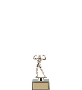 ODAK KUPA - Hediyelik Ürünler - HDY-040 C - 17 cm