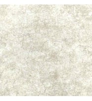 ANKAWALL VİSİON DUVAR KAĞIDI 2403-1 (16.5m2)