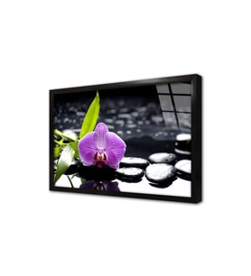 Spa Taşları ve Orkide Çerçeveli Cam Tablo