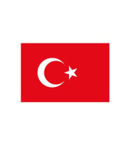 Türk Bayrağı Bayrak Yapışkanlı Çıkartma 12X17cm - 10 adet